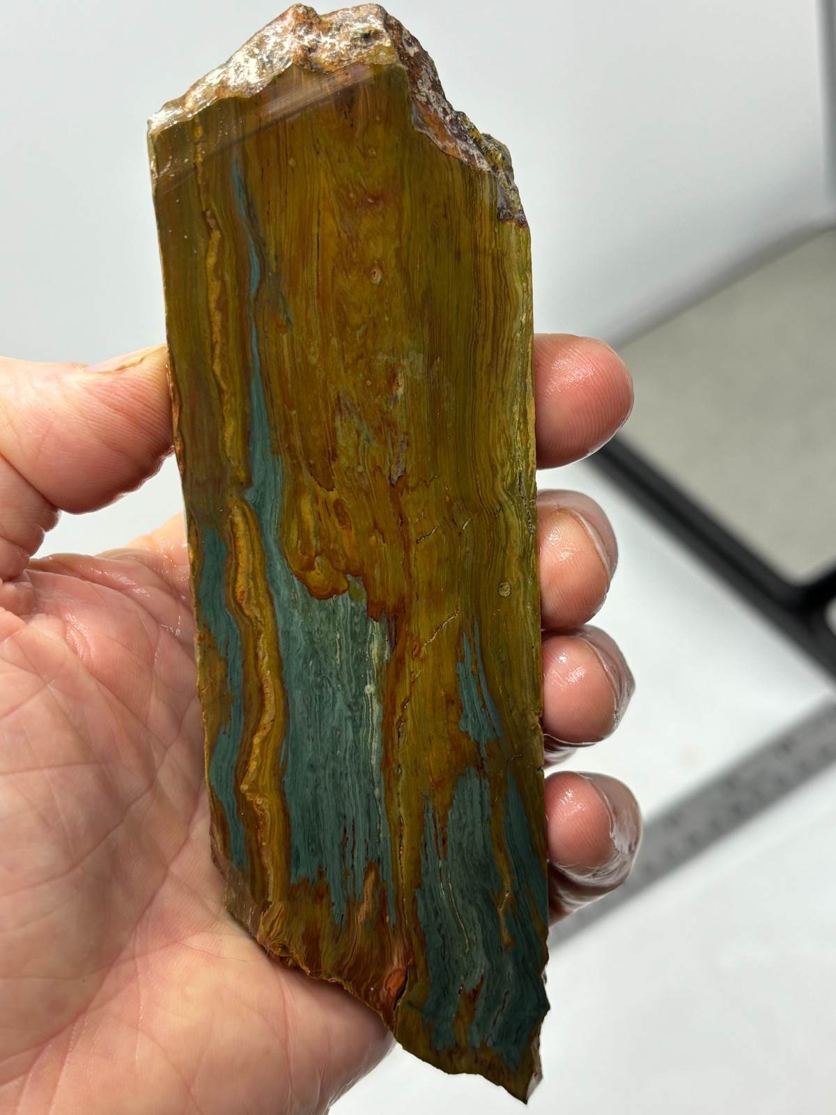 Gary Green Caldera Freedom Jasper Slab Cabbing Lapidary Combo Ship Avail