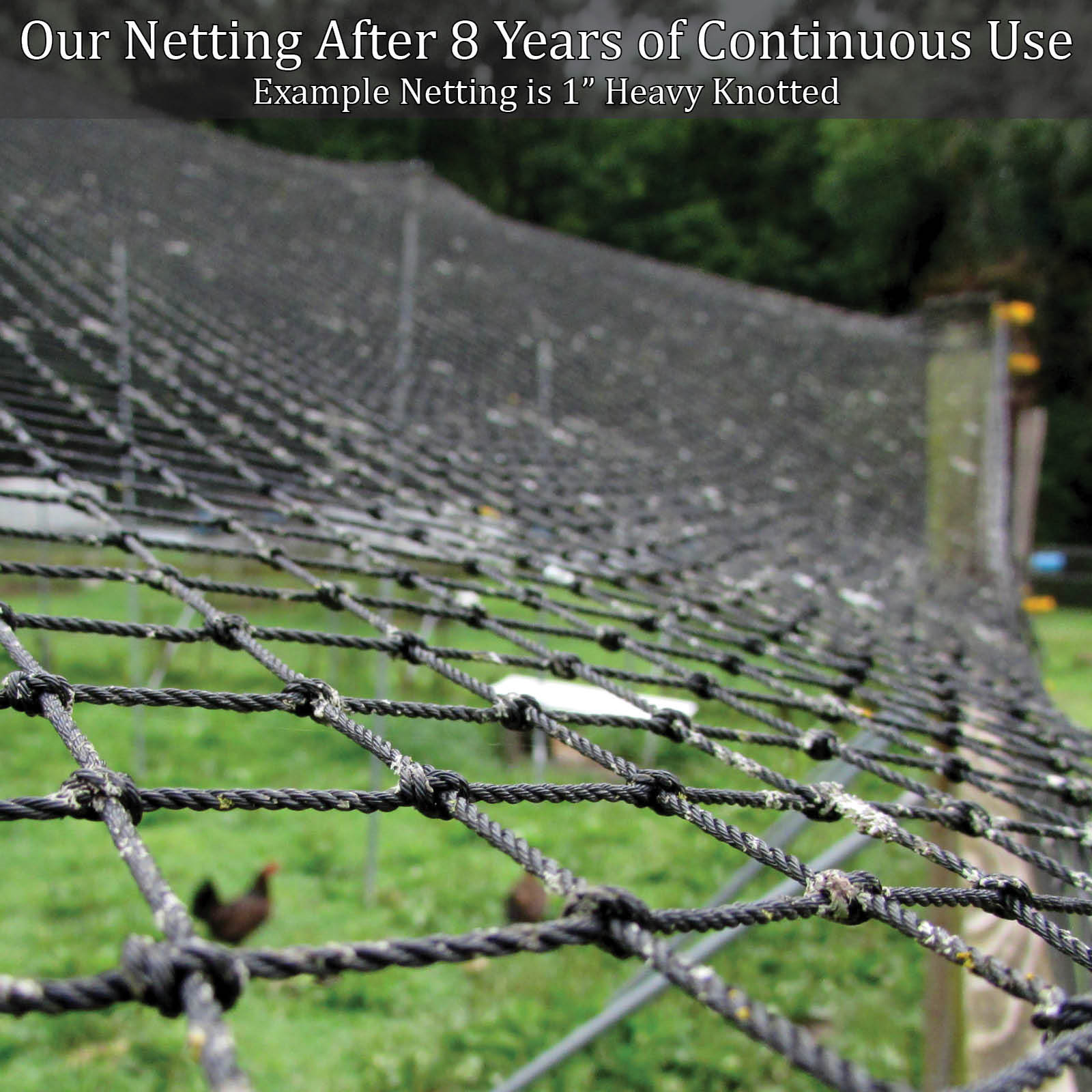 Poultry Netting 25' x 50' 1" Heavy Knotted Aviary Anti Bird Net Lasts 7-10 Years