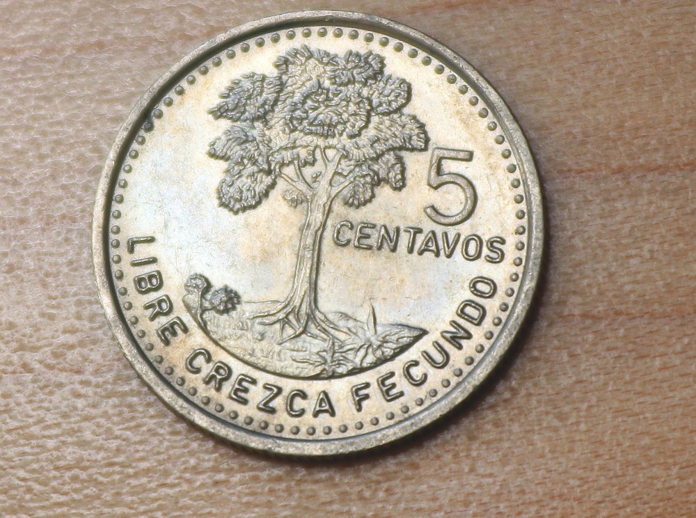 1997 Guatemala 5 Centavos Kapok Tree