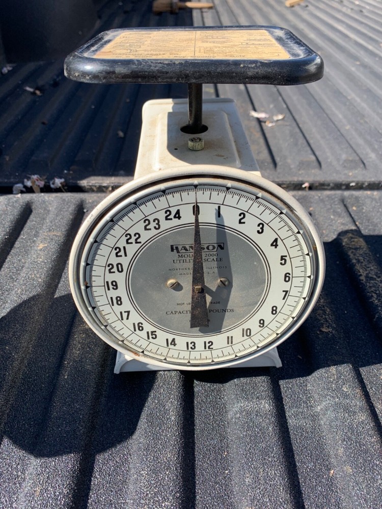 Vintage Hanson Model 2000 Utility Scale Great Look!