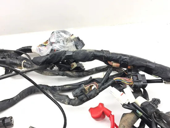 Main Engine Wiring Harness 2017 Yamaha YXZ1000R SS 3046