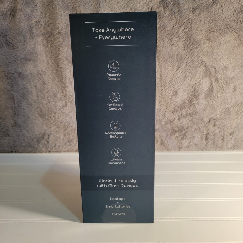 Prostar Wireless Karaoke Speaker