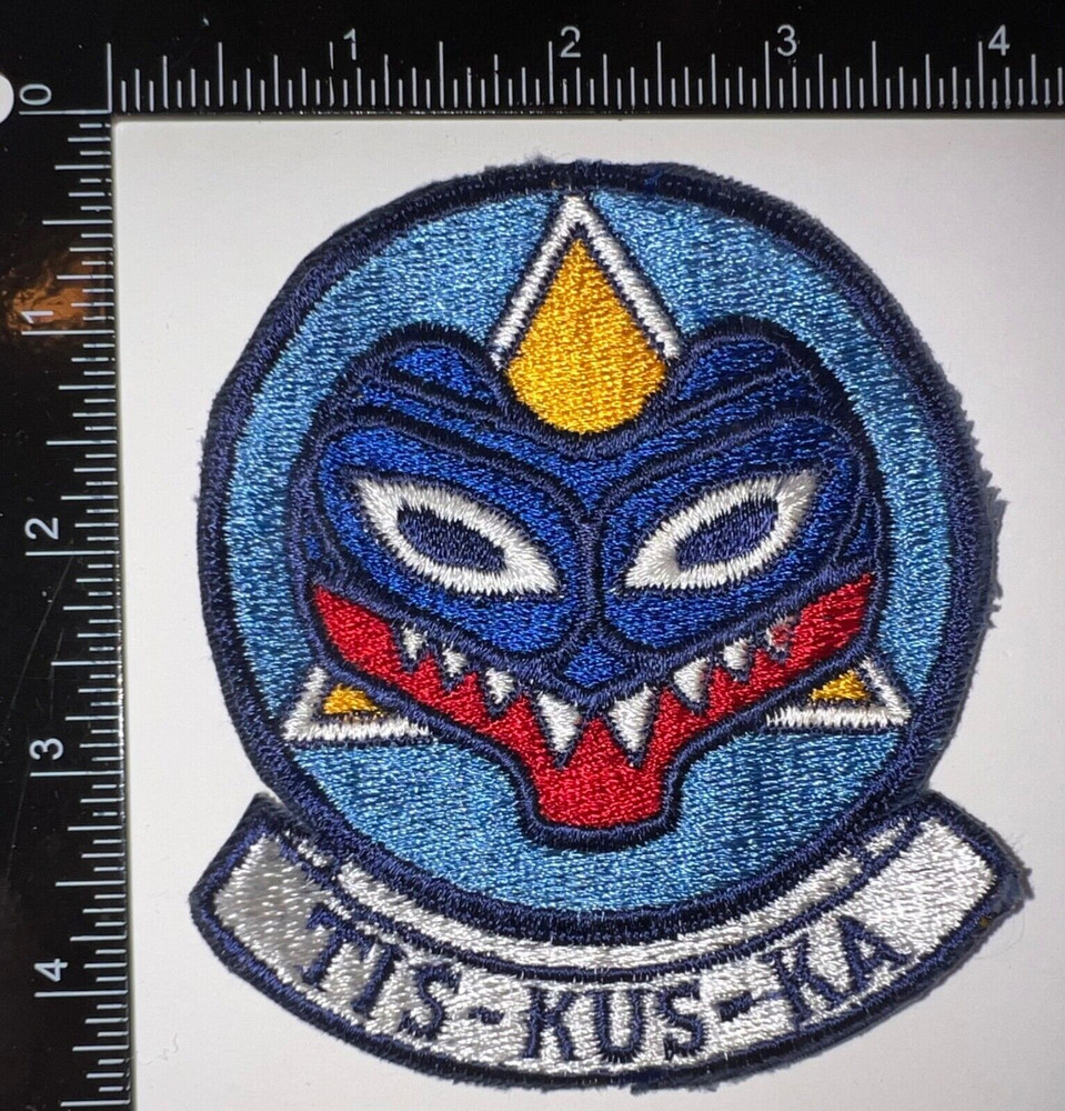 USAF US Air Force 325th A&E Armament and Electronics Maintenance Squadron Patch
