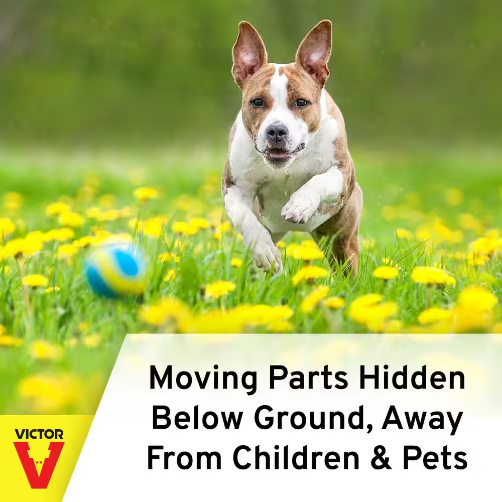 Plunger Style Mole Trap