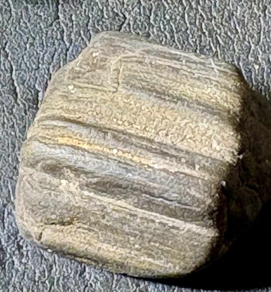 1 oz Petrified Wood