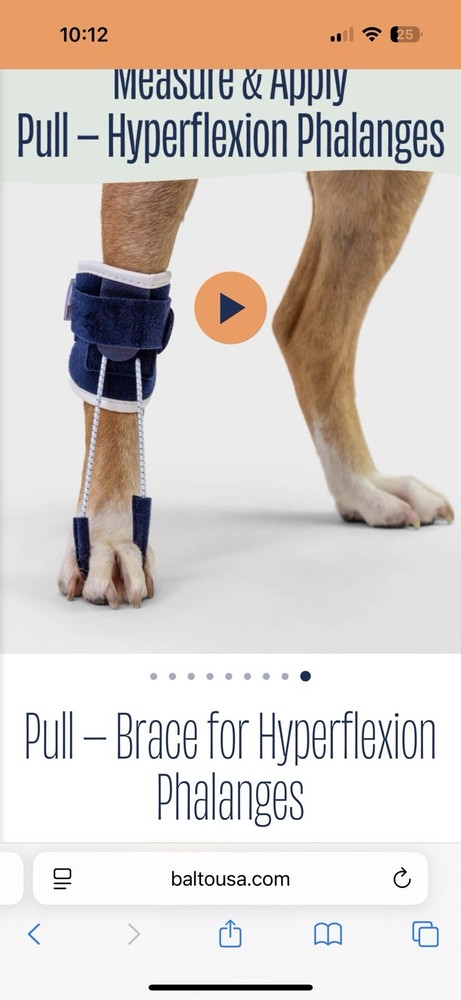 Dog Brace Balto Canine Pull – Brace for Hyperflexion Phalanges Size Large