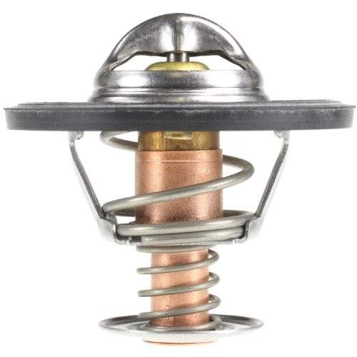 265-195 Thermostat