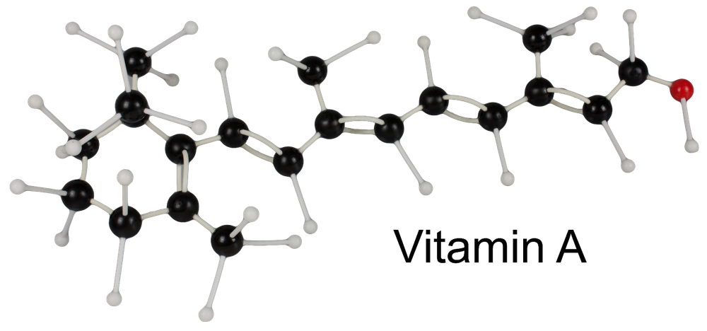 Large 545 Pieces Structural Molecular Model Kit