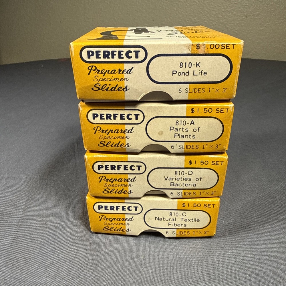 Antique microscope slides - 24 Perfect Prepared Microscope Slides Insects Etc