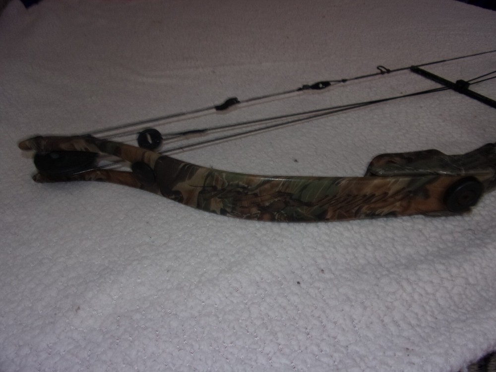Golden Eagle Falcon Flame Compound Bow