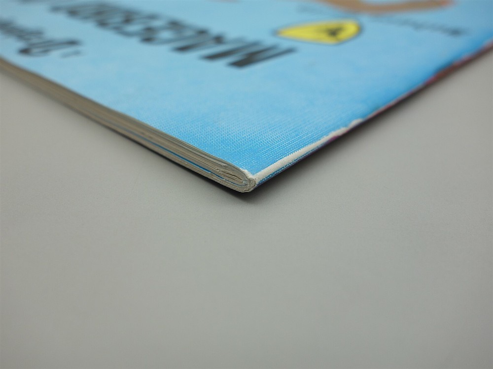 Dragonquest: Judge's Guild Module - Magebird Quest