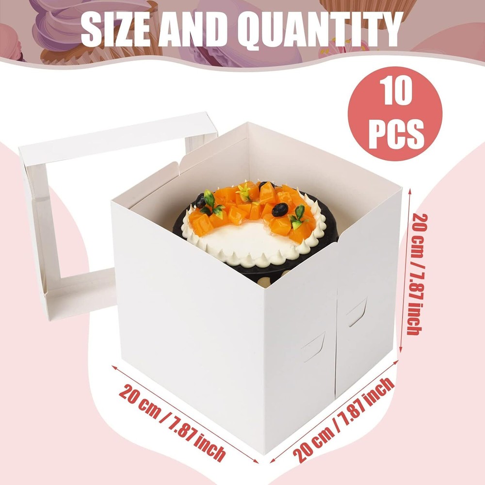 10 Pieces Cake Boxes Tall Box White Pie Deep with