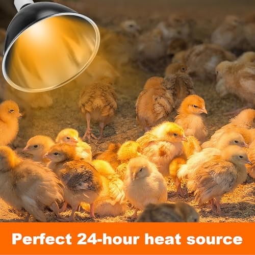 Chicks Brooder Box for Chicken Starter Kit- Includes Timing Heat Lamp Set, Red