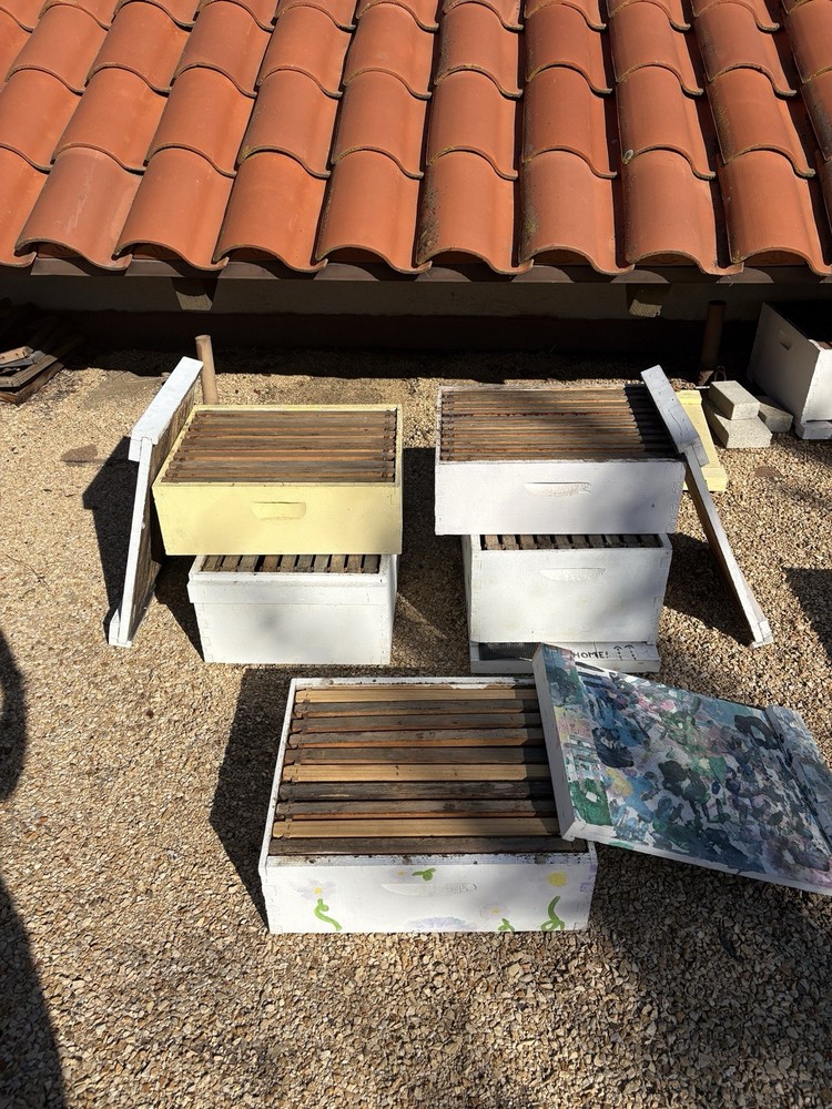 Deep Honey Super / Deep Box Assembled/Painted-for Bee Hive w/ Frames/Foundation
