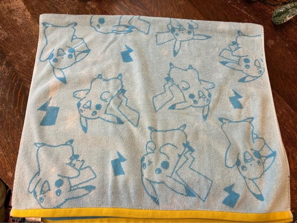 Pokémon towel circa 2017