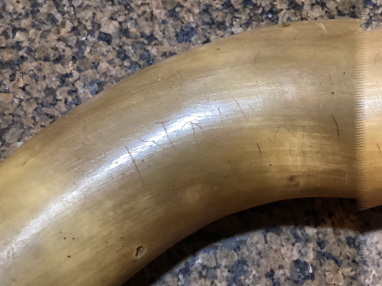 Large 18” Antique Powder Horn Engraved 1st New Jersey 1861