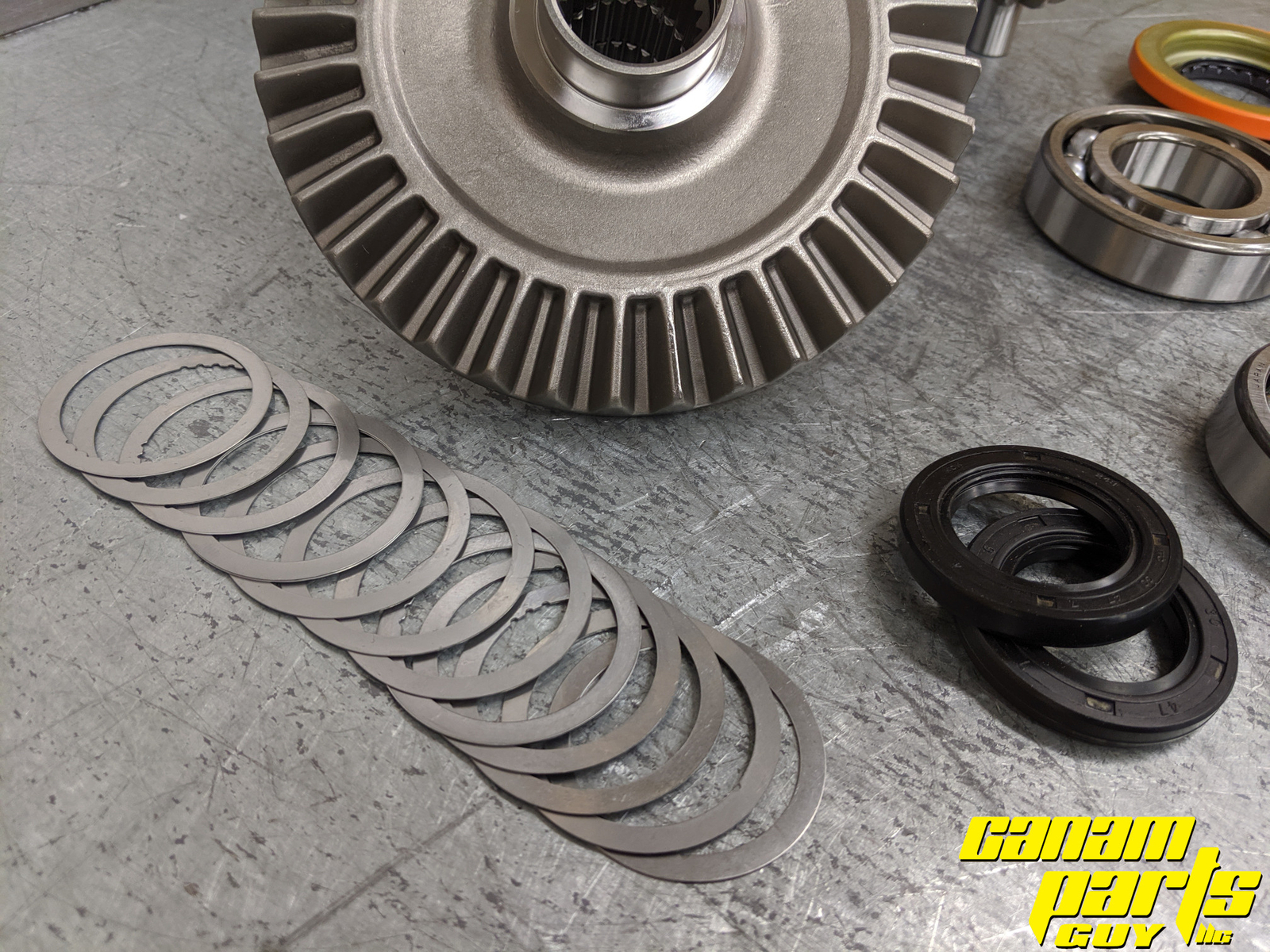 1447 Canam ATV Standard Rear Differential Rebuild Kit READ