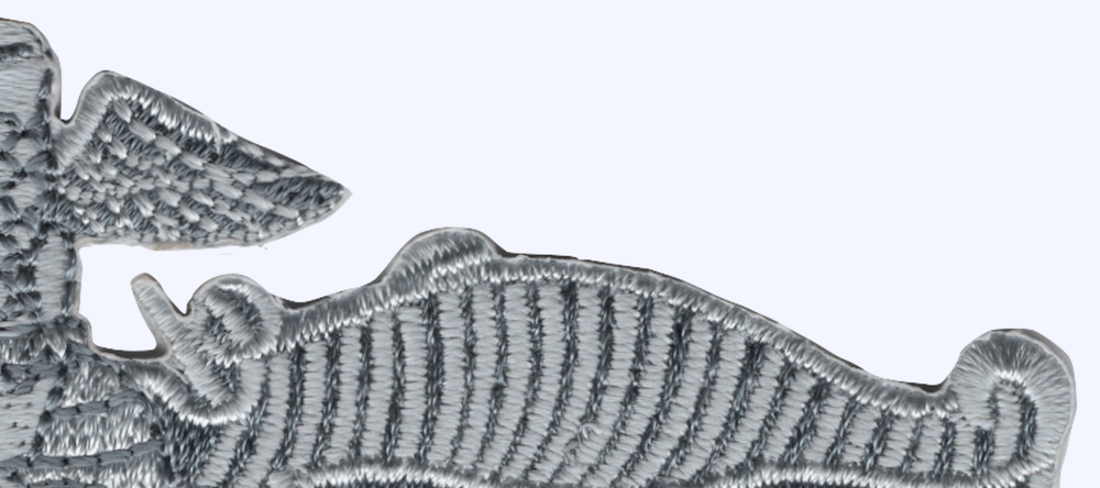 Fleet Marine Force Badge Patch