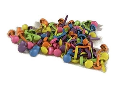 Bright Colored Assorted Mini Round Brads 100c