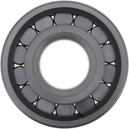 Differential Pilot Bearing DANA Spicer 126187