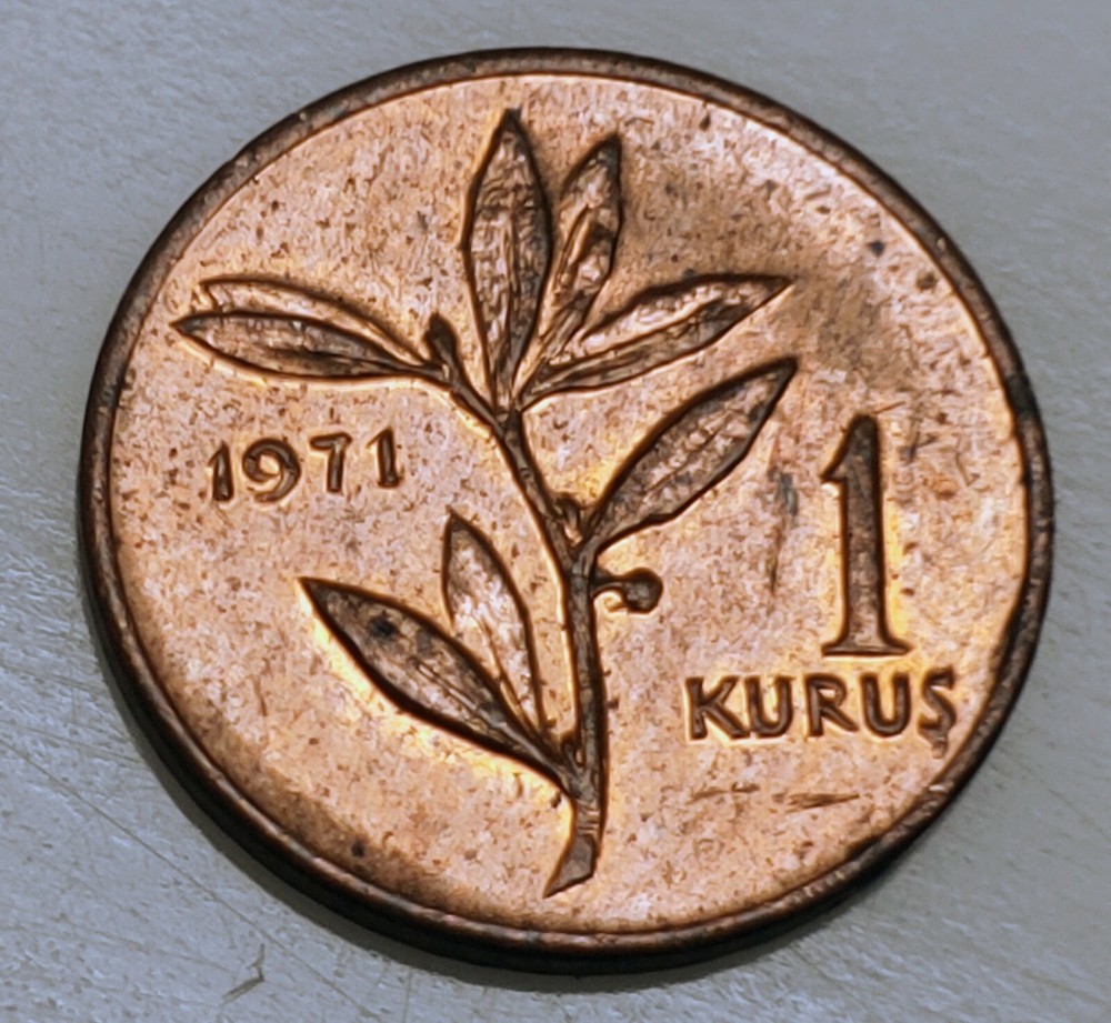 Turkey, 1971  1 Kurus Coin