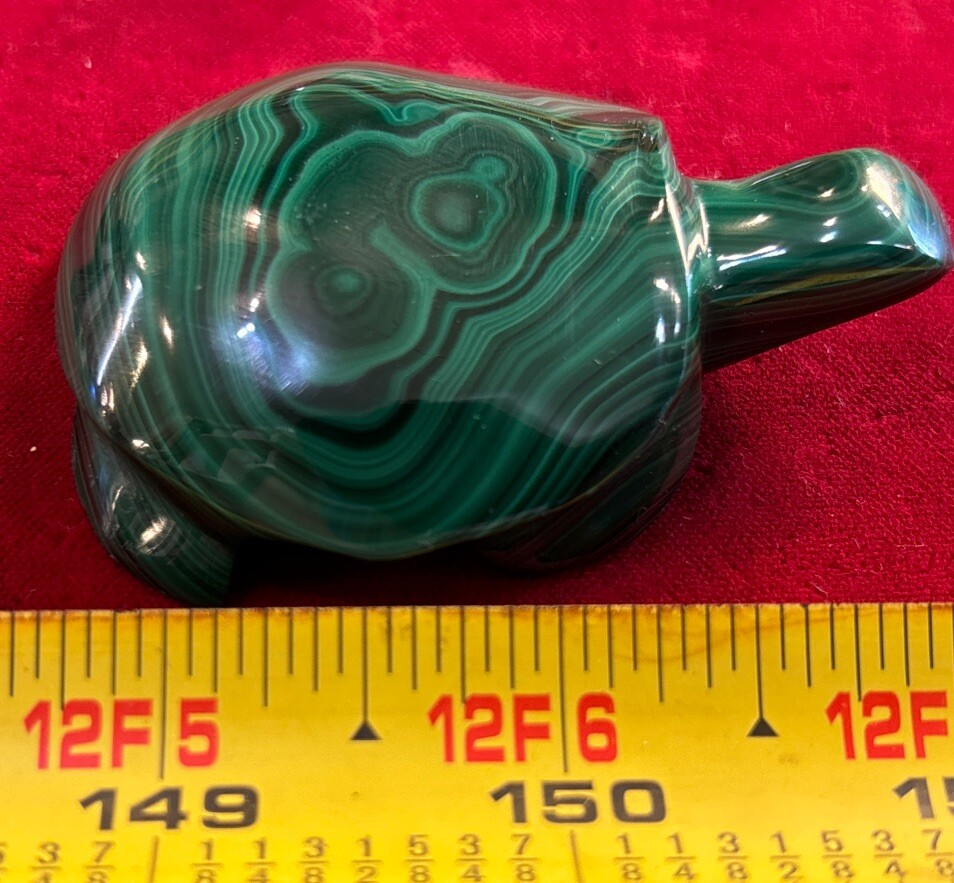 2” Malachite Turtle