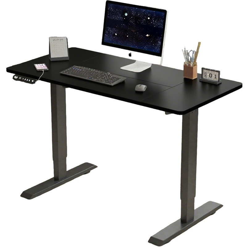 Modern Electric Standing Desk Height Adjustable Computer Desk Study Gaming Table