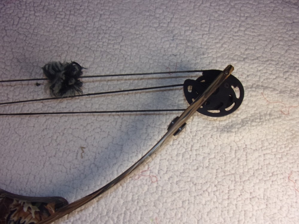 Pro Sport Archery Tom Cat Compound Bow