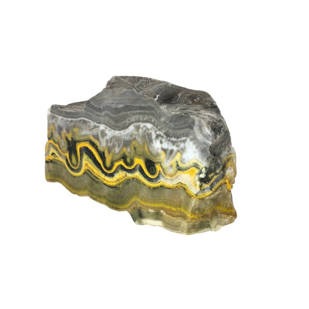Bumblebee Jasper, 1.25 lbs, cabbing rough, #R-6999