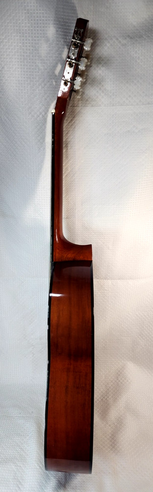 Hand Crafted S101 C2390 Guitar with Case & String - Used