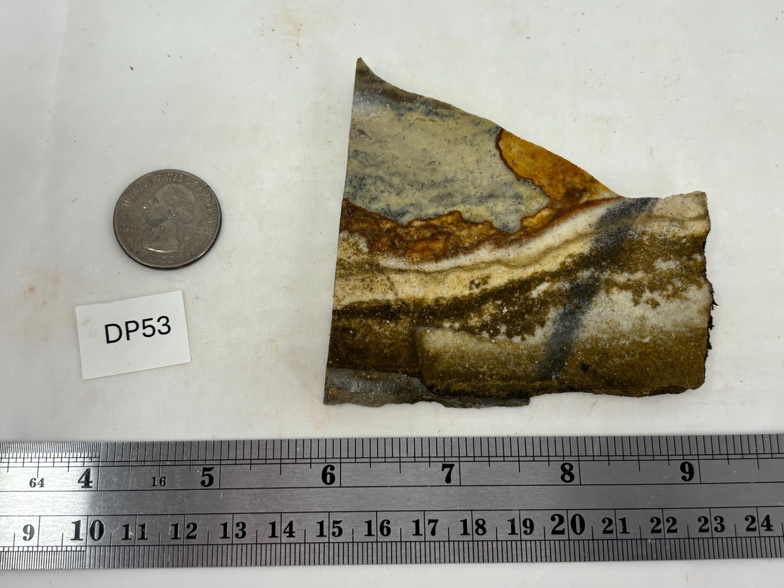 Disaster Peak Picture Jasper Slab Cabbing Lapidary Collecting Combo Ship Avail