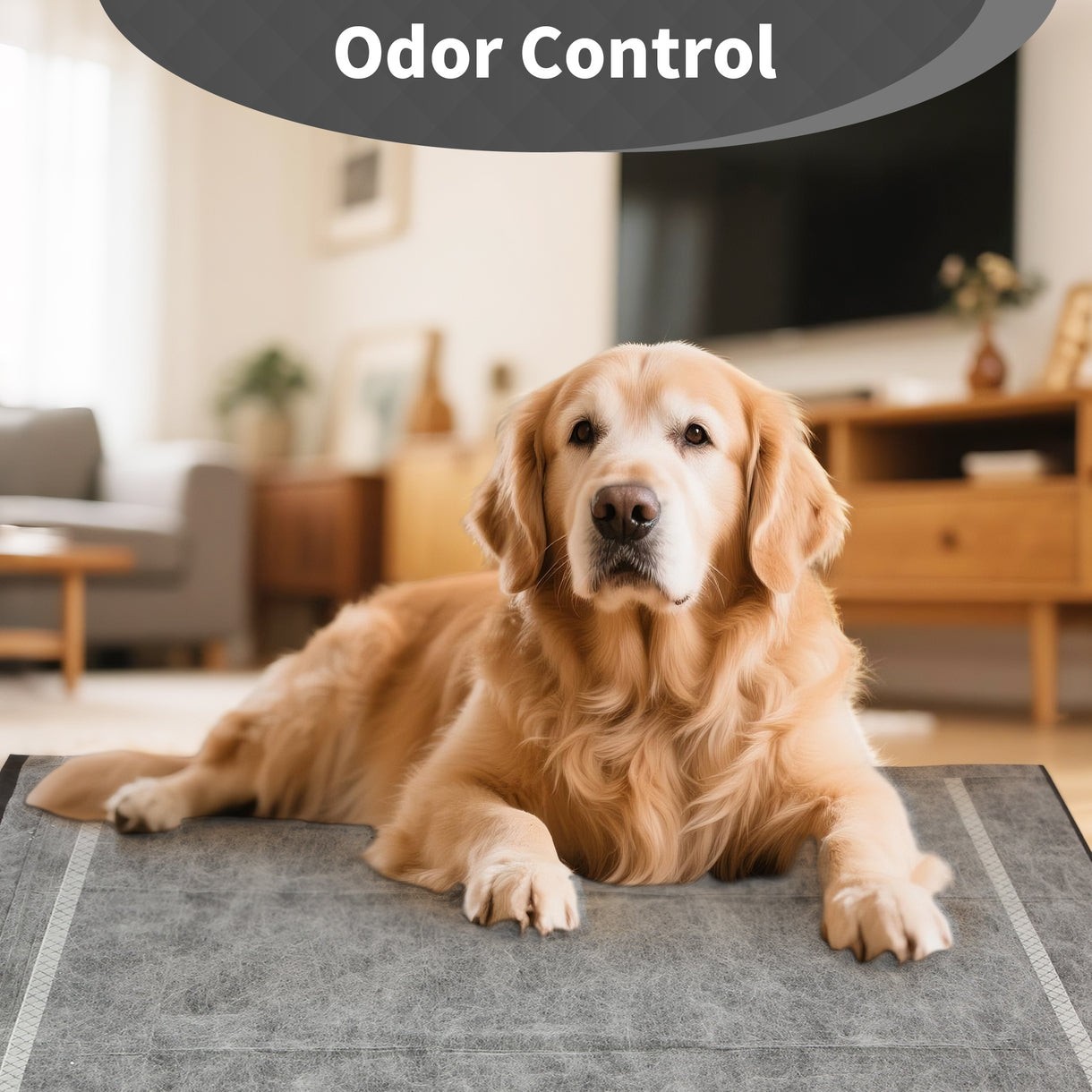 30 Pack XL Charcoal Odor-Control Dog Pee Pads 28"x34", Disposable Puppy Training