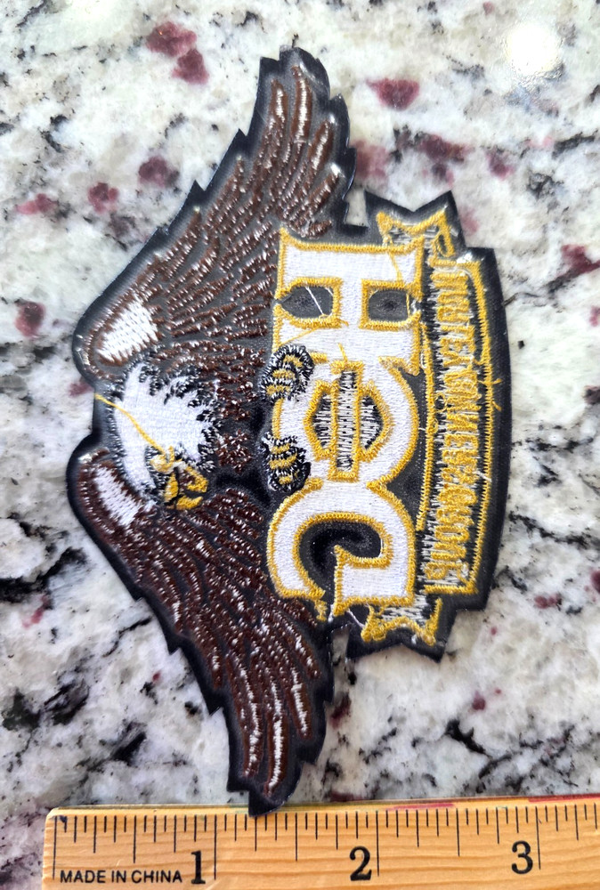 Harley Davidson Owners Group Eagle Embroidered Patch HOG New *FREE SHIP*