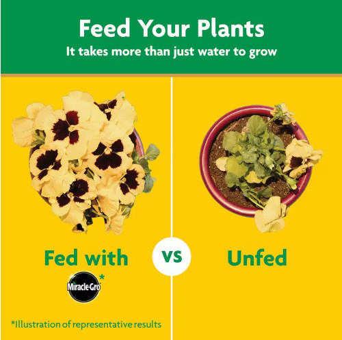 Miracle-Gro Water Soluble All Purpose Plant Food