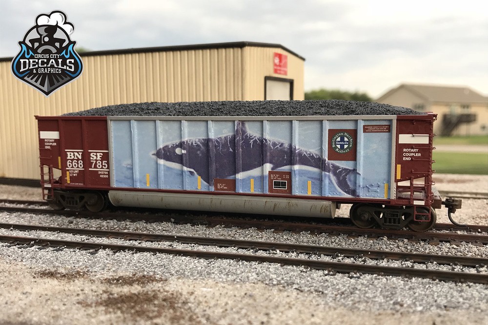 BNSF Coalporter Bethgon #668785 Whale Graffiti HO Scale