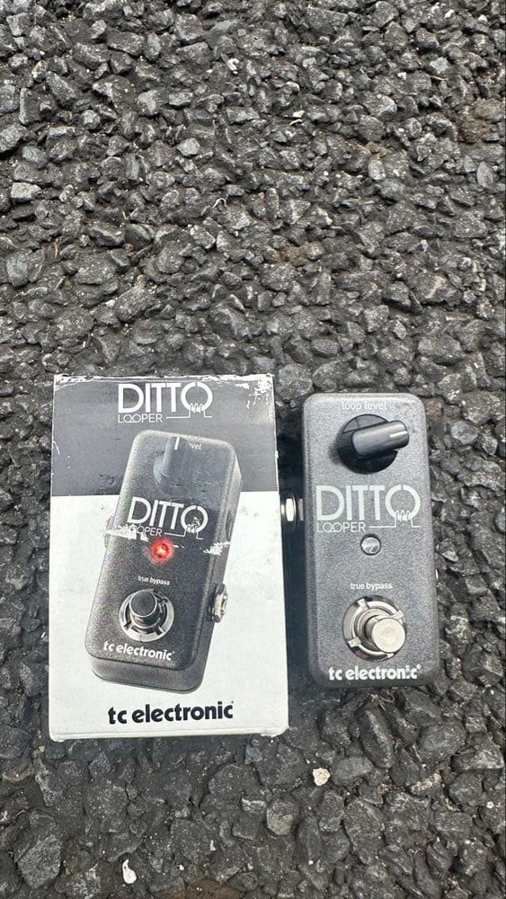 tc electronic DITTO LOOPER Pedal