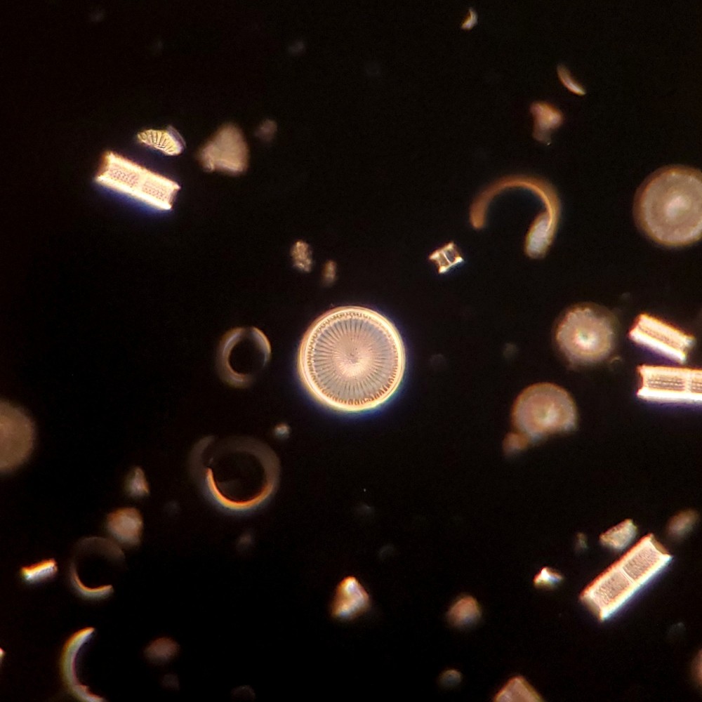 American Optical Darkfield Oil Condenser