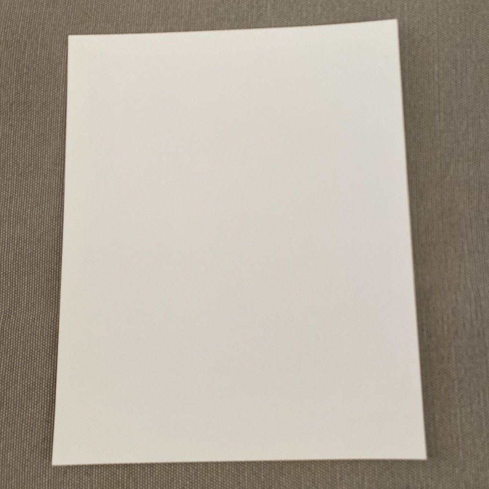 Jesse Colin Young Press Photo 8x10”. See Description.