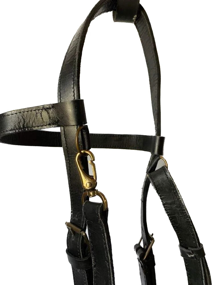 Versa Training Quick Change Bridle