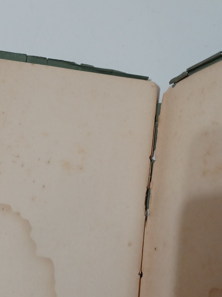 Antique The Dawn By Galilee