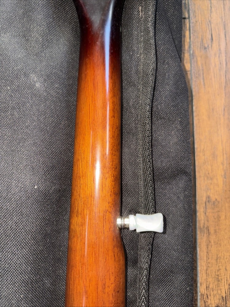 Fender 5 String Banjo & Bag Used