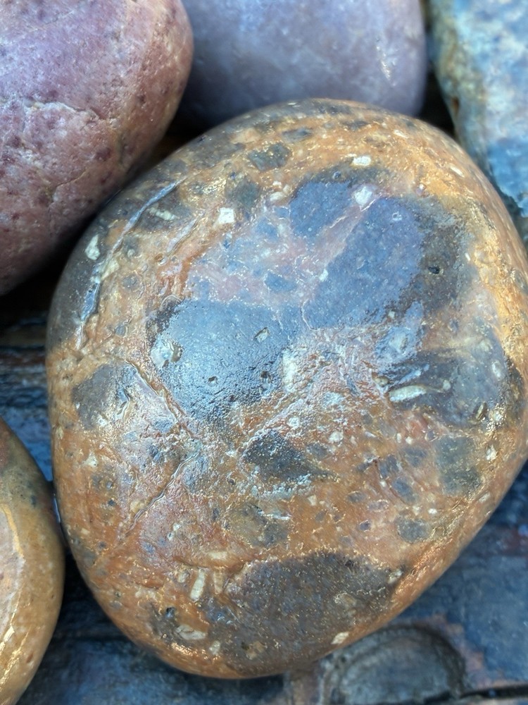 JASPER~ Solid ~Rocks For Sale Rough 3 Lbs