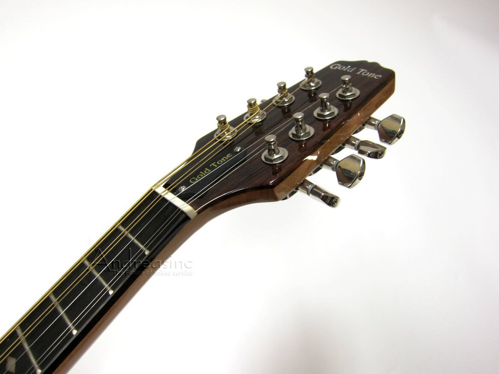 GOLD TONE 8-STRING SOLID SPRUCE MANDOLA w/ BAG ~ VIOLA MANDOLIN LUTE