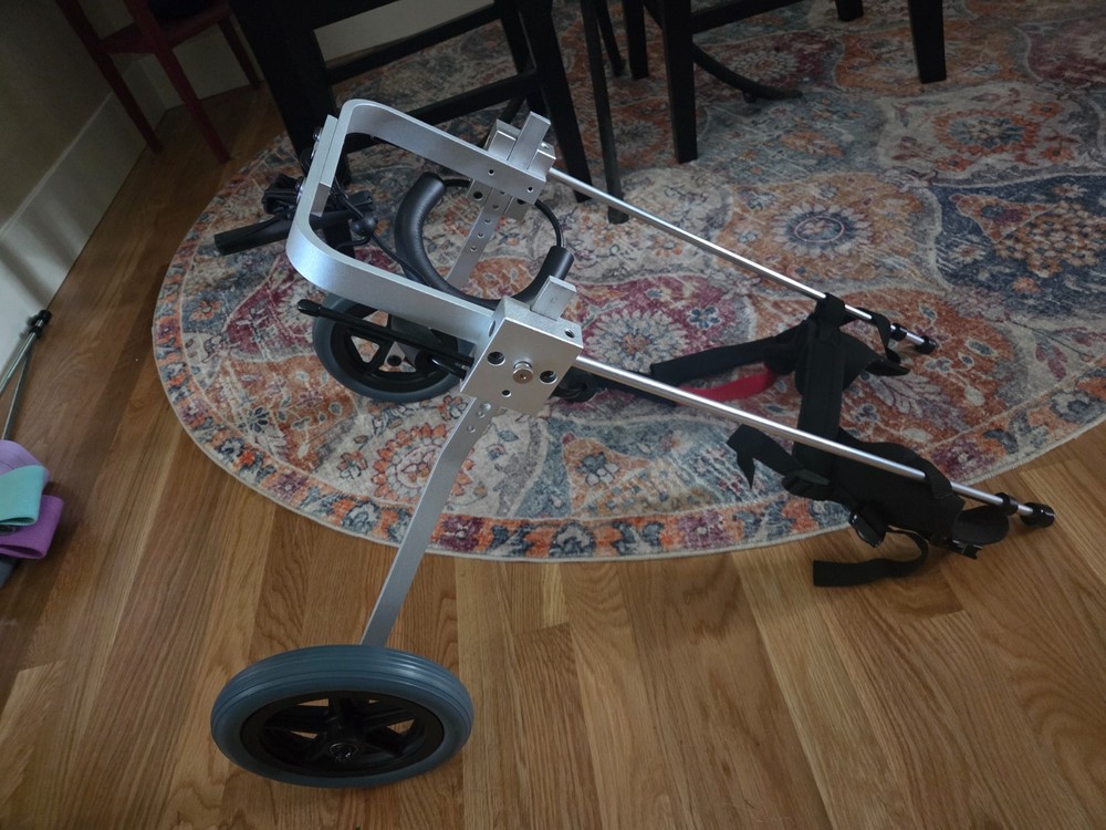 Best Friend Mobility Adjustable Rear Support Pet Wheelchair Medium