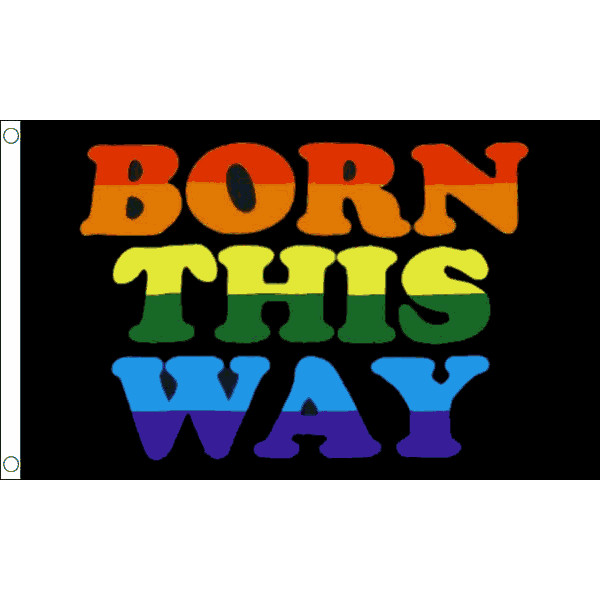 Born This Way Rainbow Flag Table Hand Waving Flags Bunting Scrunchie Displays