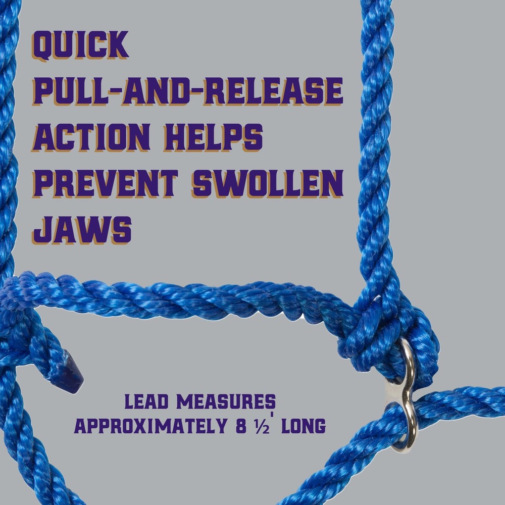 Weaver Livestock Poly Rope Breaking Cattle Halter, Adjustable, Modern Style C...