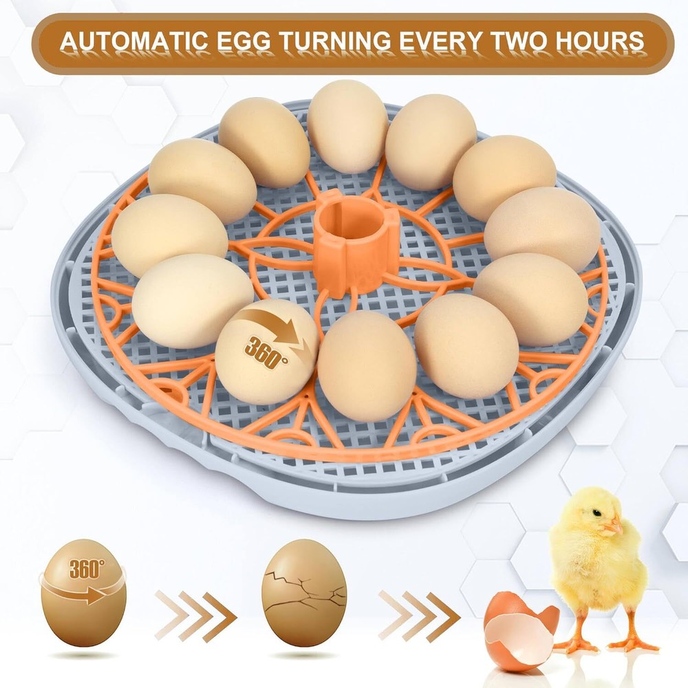 Easy To Use Egg Incubator With Automatic Turning Optimal Hatch Rates 360 Visi...