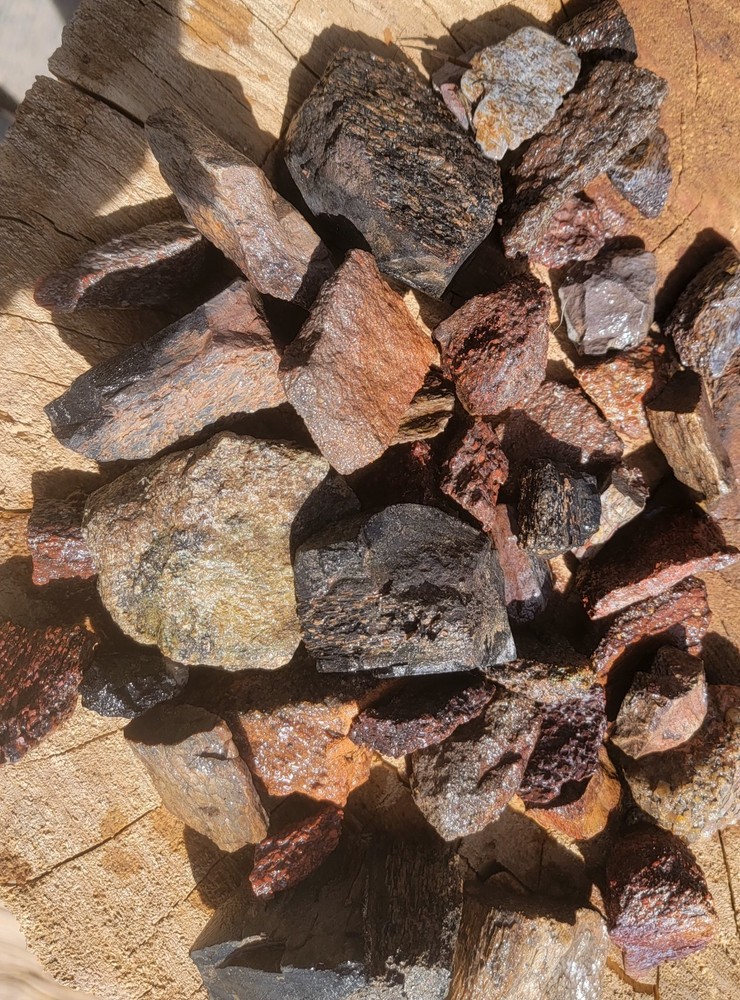 3.06lbs Small Medium agotized Dino Bone Reds
