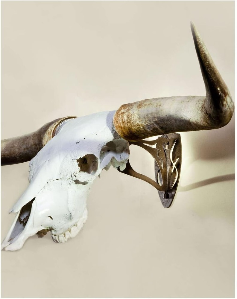 Sleek European Trophy Mount for Large Skulls - Customizable and Durable Display