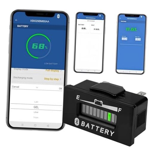 RL-BI029-BT Bluetooth Battery Indicator Volt Meter DC 12V to 48V